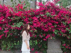 -四川大学(华西校区)