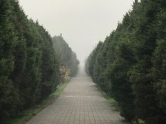 -秦始皇帝陵博物院-丽山园