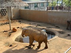 -西霞口神雕山野生动物世界