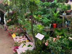 -花鸟鱼虫鲜花绿植市场(玉泉路店)