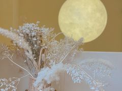 -伊斯坦布尔土耳其清真咖啡餐厅