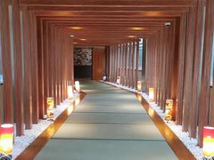 -重庆南山海昌汤都