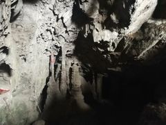 -商洛老君山旅游风景区