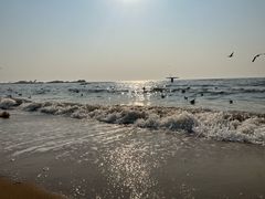 -老虎石海上公园