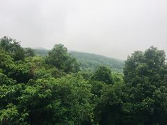 -南京老山国家森林公园