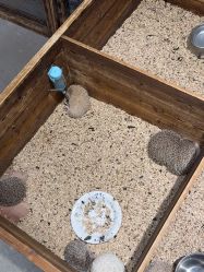 -酷嗒动物文化乐园(cutezoo西溪乐天城店)