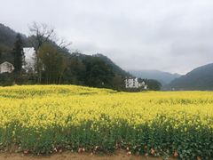 -新安江山水画廊风景区