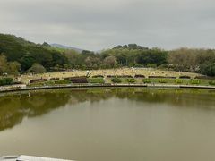 -东莞植物园