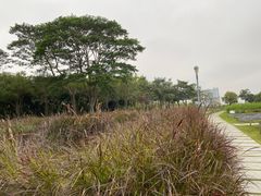 -深圳湾公园(南山区)