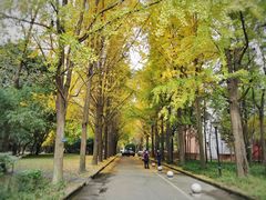 -西南交通大学(九里校区)