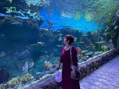 -华夏文旅海洋公园