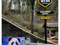 -中国大熊猫保护研究中心雅安碧峰峡基地