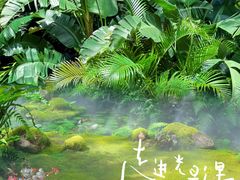 -深圳仙湖植物园
