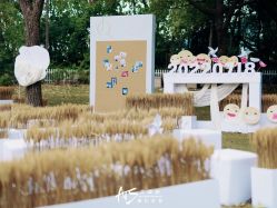 -艾缇森原创定制婚礼ATS WEDDING