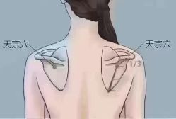 -丽减美瘦吧·减肥瘦身
