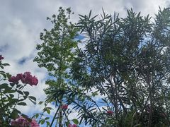 -仙海旅游度假区