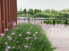 -水月周庄铂尔曼酒店-水月荟中餐厅