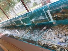 -港畔赶海蒸汽海鲜烧烤自助(仙螺岛店)