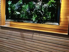 -前海沿·青岛菜(证大·大拇指广场店)