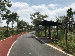 -上海长兴岛郊野公园