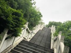 -云碧峰国家森林公园