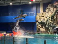 -威海华夏城景区