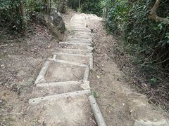 -狮子山郊野公园