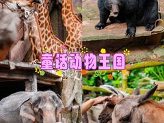 -长鹿旅游休博园