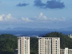 -板樟山森林公园