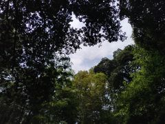 -云栖竹径