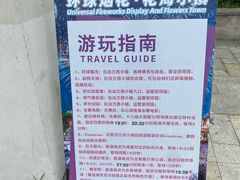 -大塘金香草谷