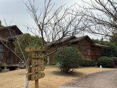 -张家港金凤凰度假村温泉