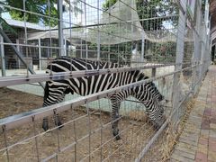 -迪茵湖田家舍生态农场