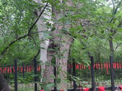 -北陵公园