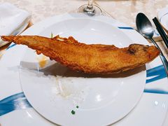 -新净雅烹小鲜(学院路店)