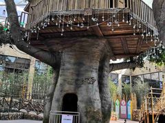 -杭州开元森泊度假乐园