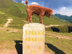-兰州吐鲁沟国家森林公园