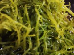 -屋头串串(新街里店)