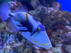 -海合安武汉极地海洋公园