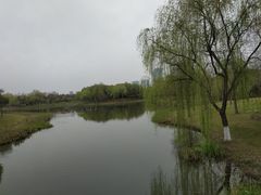 -尚贤河湿地