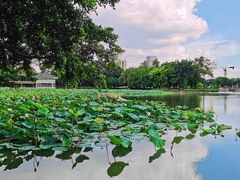 -荔湾湖公园
