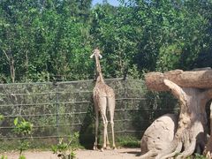 -大连森林动物园