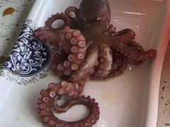 -王潮活海鲜自助·蒸汽海鲜