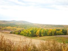 -莫尔道嘎国家森林公园