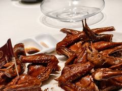 -侨美·唐荔园·40年地道粤菜