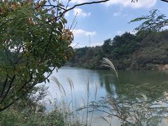 -四明山国家森林公园