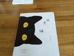 -Dragon Pizza•圆脸龙披萨·牛排餐厅