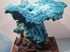 -甘肃地质博物馆