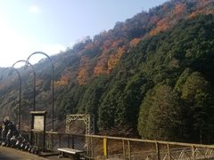 -岚山嵯峨野观光小火车