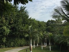 -厦门悦华酒店